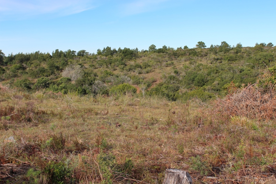 1 Bedroom Property for Sale in Bathurst Rural Eastern Cape